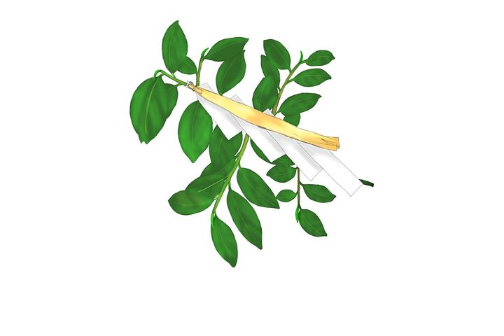 モダンな神棚も今どきは多数