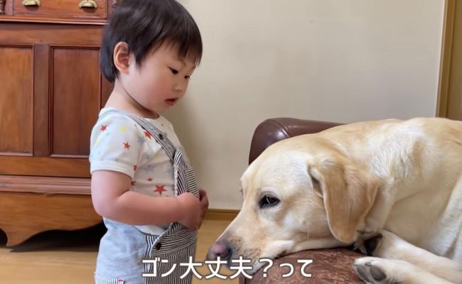 ゴンとサン7