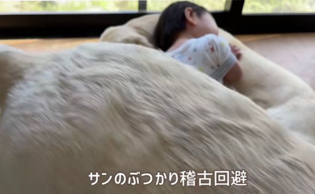 ゴンとサン１０