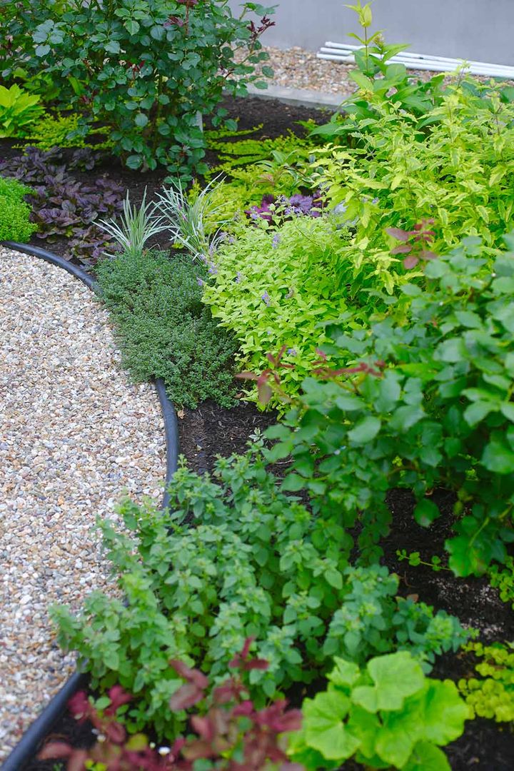 おすすめ宿根草