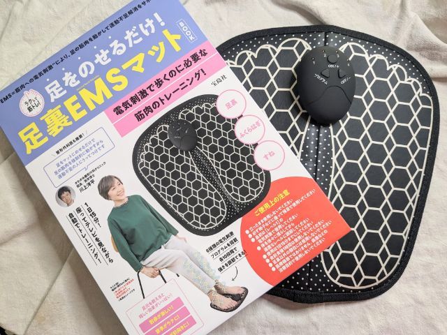 足裏EMSマット