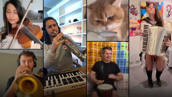 ミルク飲む猫の鳴き声マッシュアップ、パーカッションはミルクに濡れて