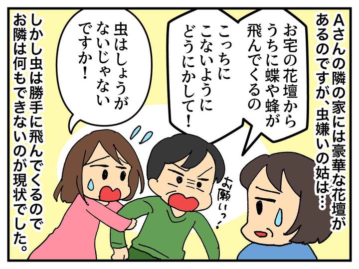 画像1: 虫嫌いな姑
