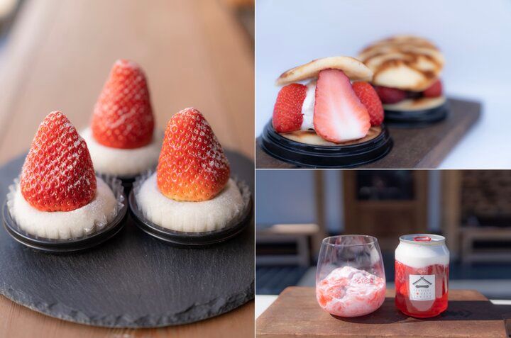 千葉・佐原で360年以上続く老舗和菓子店「御菓子司 虎屋」の縁起のいいスイーツをおみやげに