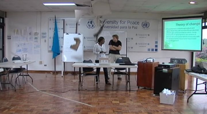 大学の講義のさなかに猫が乱入、天井を破り生徒の上から