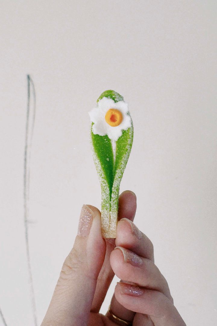 お年賀2024！縁起のよい迎春和菓子ギフト【ささやかですてきなもの 大谷有紀 vol.175】