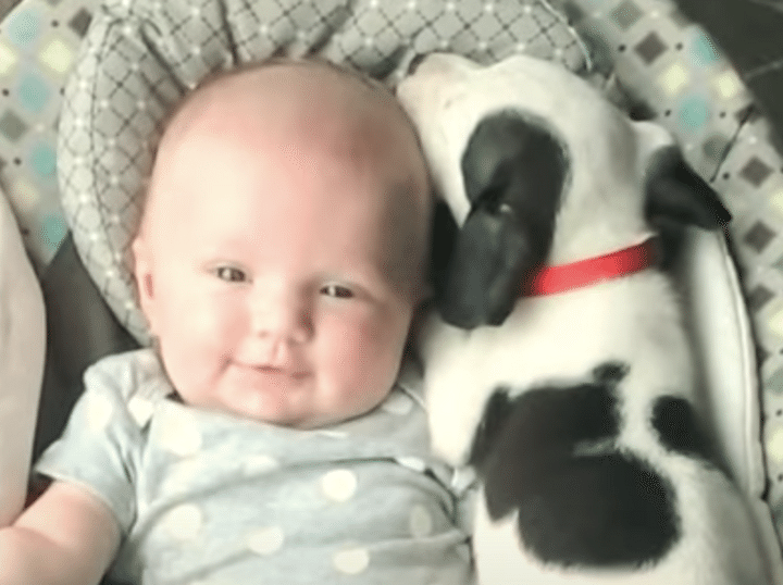 一緒に寝ましょ〜！ 赤ちゃんに添い寝する子犬の行動にキュン♪