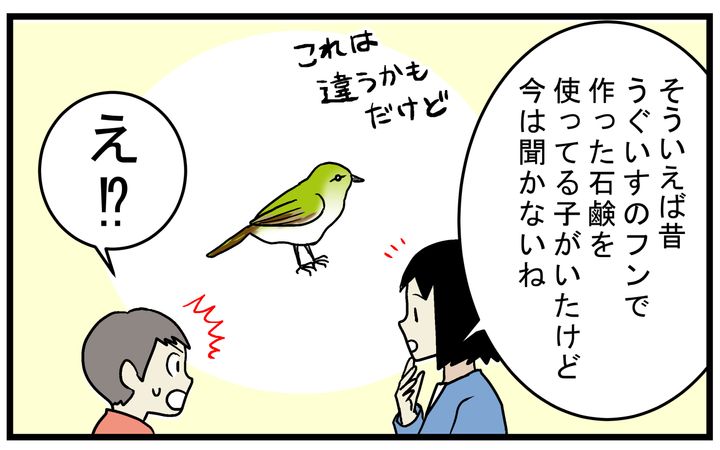 「うぐいすのフンの石鹸」というようなものを使っていました