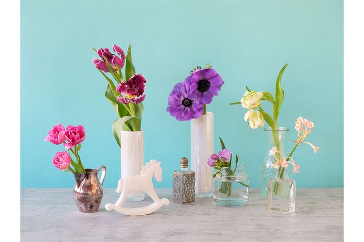 第一園芸が「1月おすすめフェア」開催