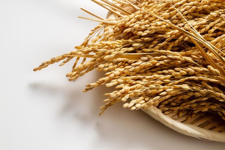 画像: 玄米は白米よりも栄養価が高い