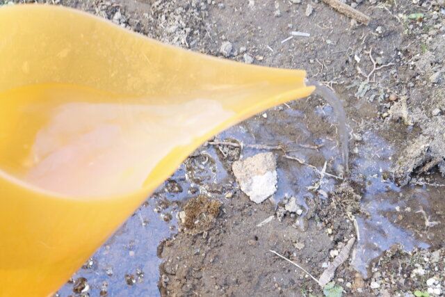 セリアの園芸用水差し オレンジの注ぎ口