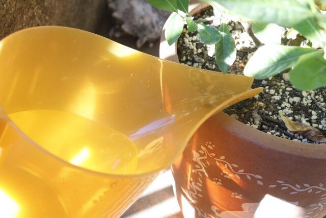 セリアの園芸用水差し オレンジで水やり