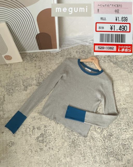 グレーとブルーのハイショクユビアナCNPO