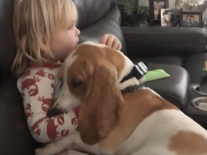 よしよし、良い子ね〜。大きな愛犬をナデナデする女の子。関係性にほっこり♪