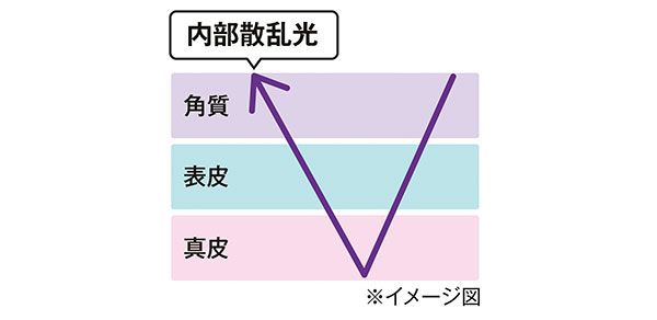 内部散乱光 ※イメージ図