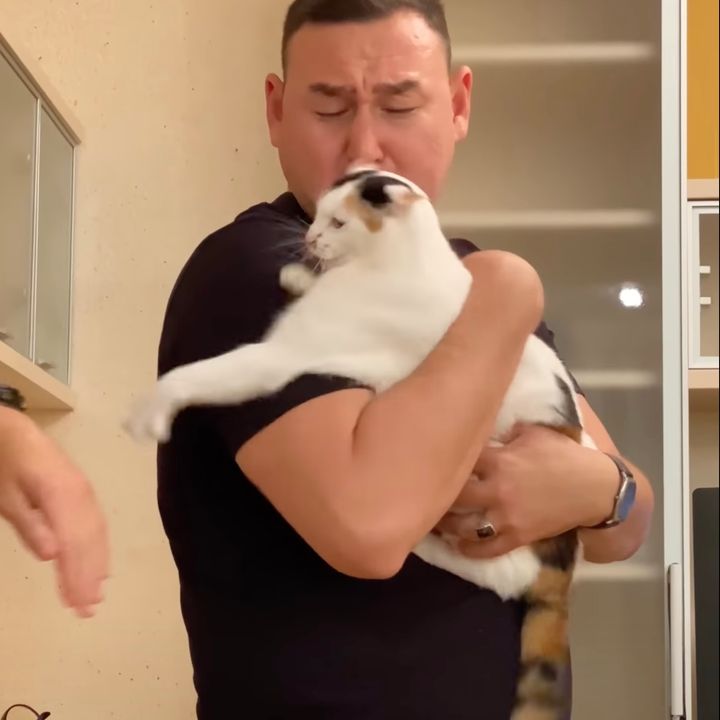 飼い主を叩く手に向かい激オコの猫、「もーいいよ」と慰留される