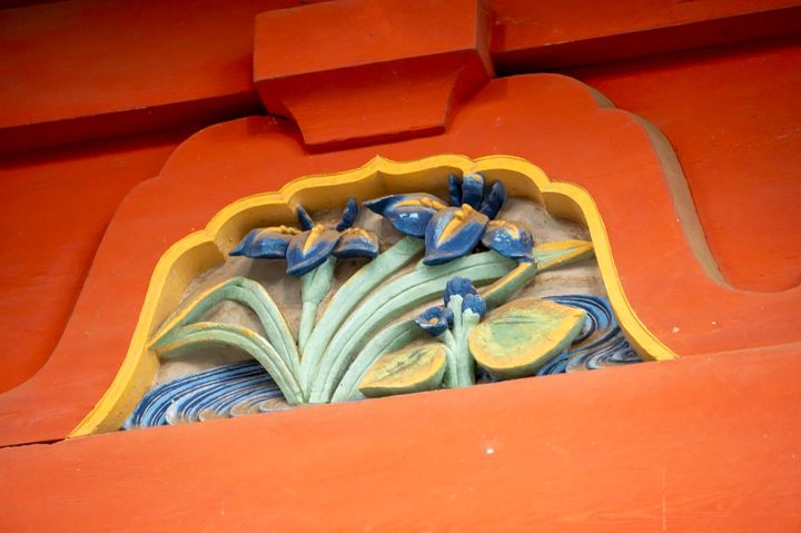 霞ヶ浦界隈の水郷の名物・花菖蒲