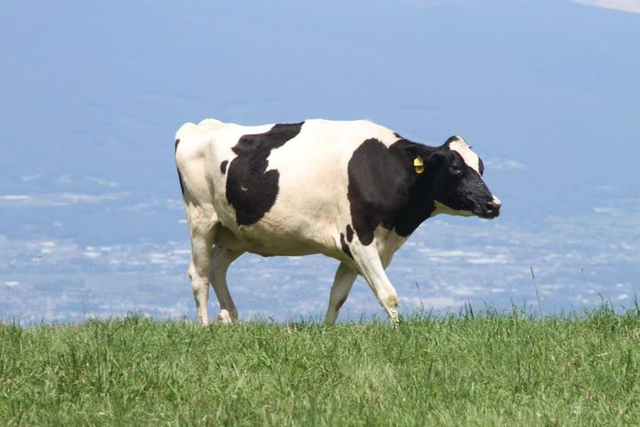 実は7種類あるって知ってた？