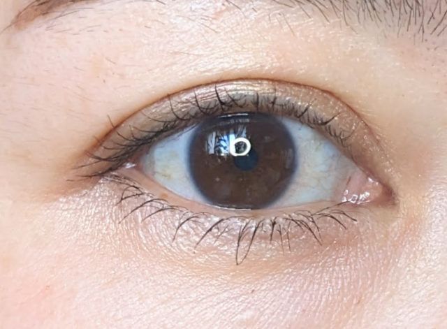 アイカラー パレットの写真