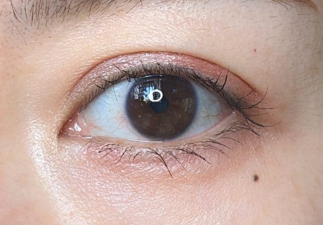 アイカラー パレットの写真