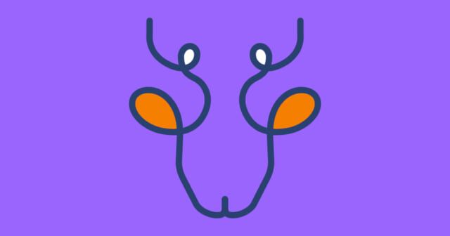 これが何に見える？【心理テスト】生まれ持った幸運診断！