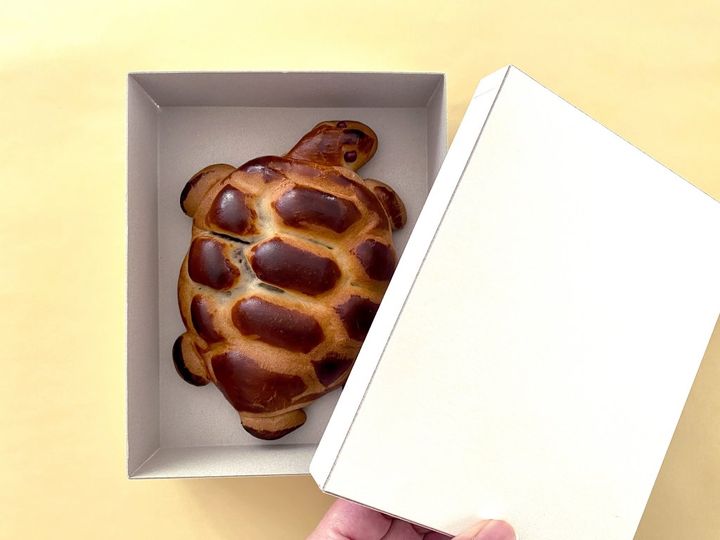 ご利益満点！まるで工芸品のような遠州名物「亀まんじゅう」【旅するデザイナーがおすすめする旅先でのお土産たち！】