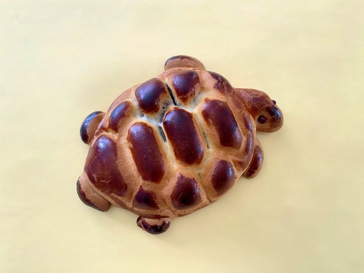 ご利益満点！まるで工芸品のような遠州名物「亀まんじゅう」【旅するデザイナーがおすすめする旅先でのお土産たち！】