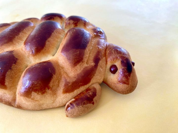 ご利益満点！まるで工芸品のような遠州名物「亀まんじゅう」【旅するデザイナーがおすすめする旅先でのお土産たち！】