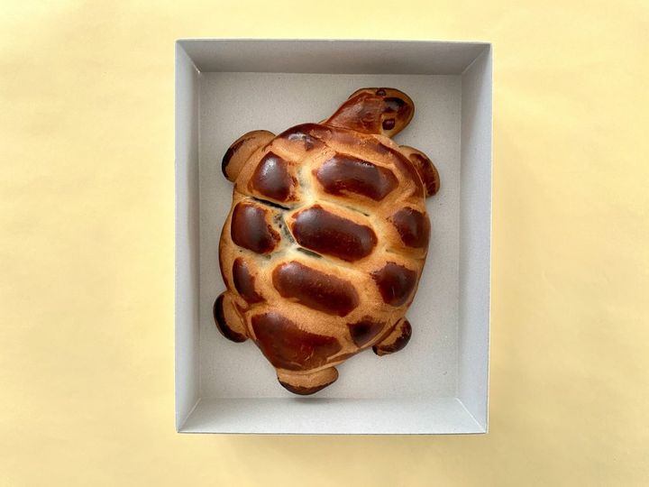 ご利益満点！まるで工芸品のような遠州名物「亀まんじゅう」【旅するデザイナーがおすすめする旅先でのお土産たち！】