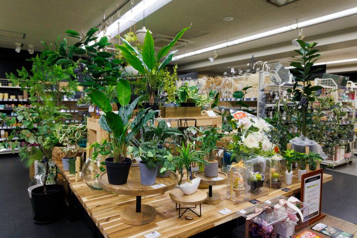 生花みたい♪１年中満開の花で埋め尽くされる蔵前「east side tokyo」