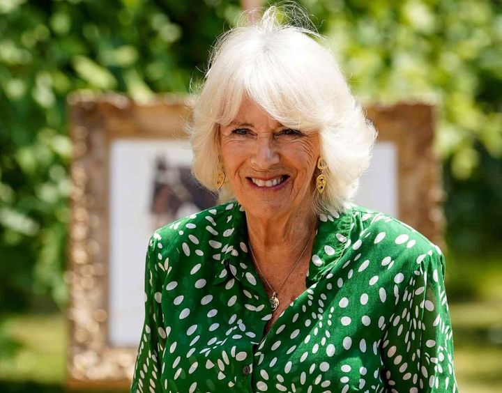 画像: カミラ王妃は孫と『ハリー・ポッター』を読むのが好き