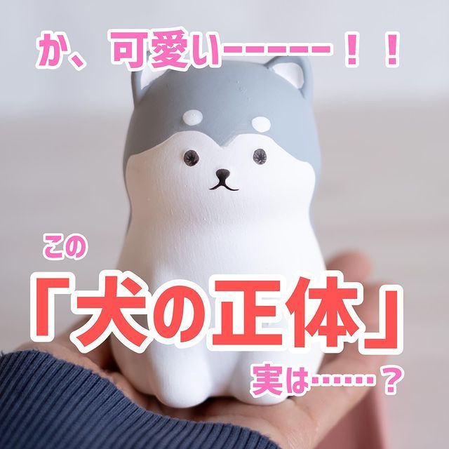 画像1: 出典：ftn_pics