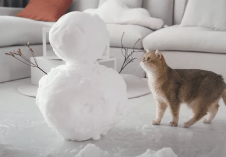 雪が大好きな猫たちに、雪だるまを作ってあげたよ！