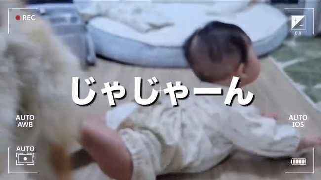 柴犬に触りたくて寝返りができてしまう赤ちゃん