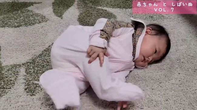 柴犬に触りたくて寝返りができてしまう赤ちゃん