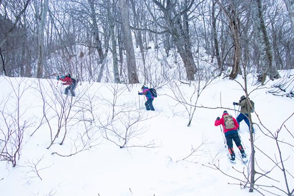 真冬の谷川岳で雪中登山！難路の先の絶景が凄かった！