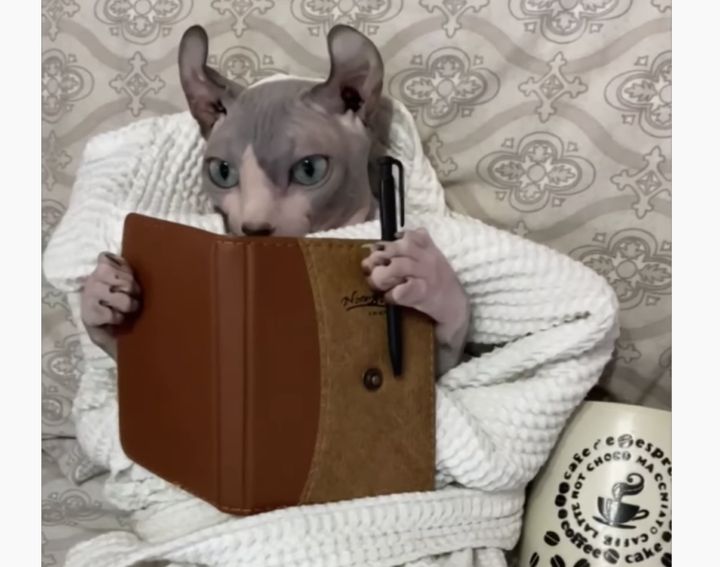 「きょうも楽しかったニャ」猫が日記をつけはじめた!?