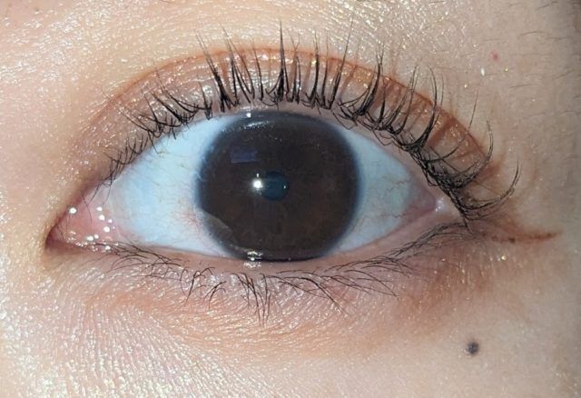 キャンメイクの写真