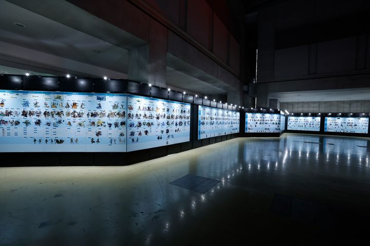 見てください、このなが～い年表！ 隅々まで思い出が詰まっています。