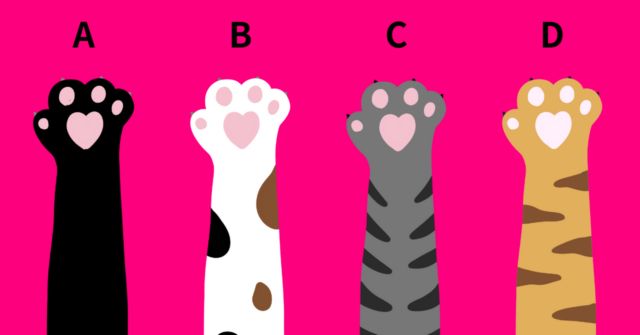 どれをプニプニしたい？【心理テスト】あなたの心のキレイ度を診断！