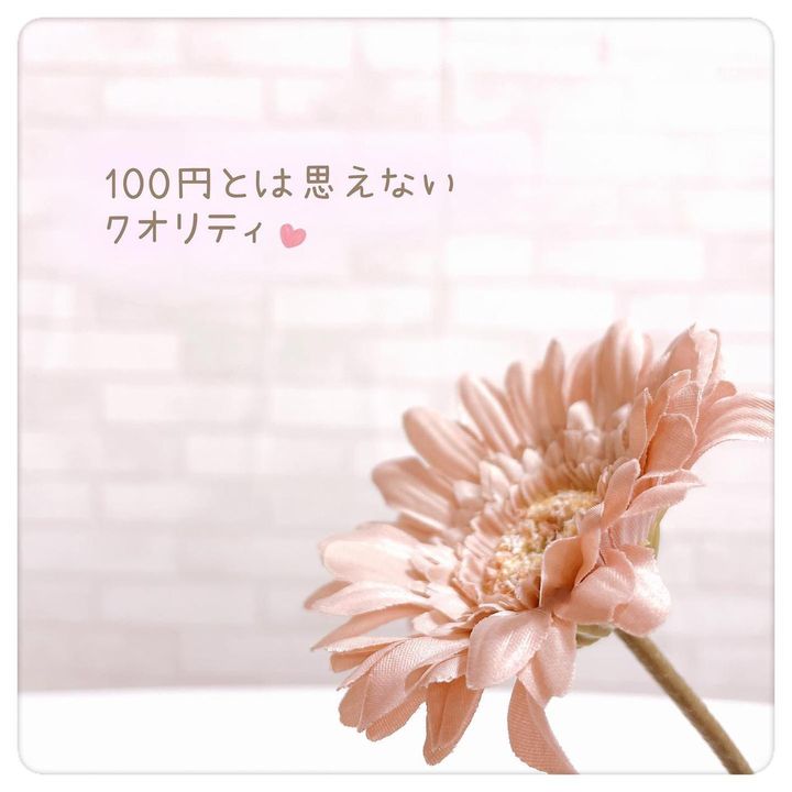 画像1: 出典：Instagram