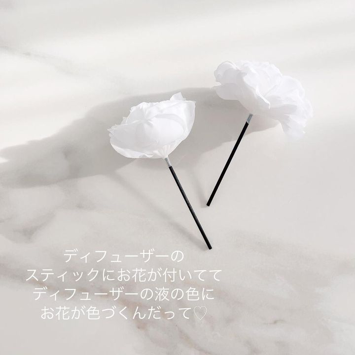 画像2: 出典：Instagram