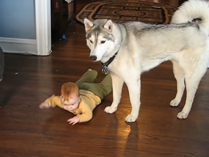 赤ちゃんが心配すぎて…！？