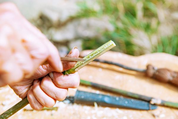 【知らないと損】どこにでもある植物からキャンプギアを作る！