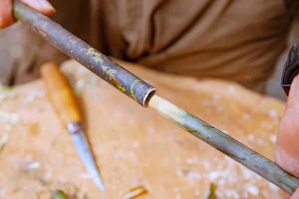 【知らないと損】どこにでもある植物からキャンプギアを作る！