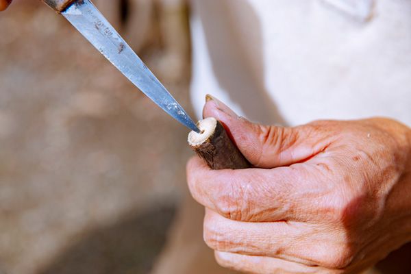【知らないと損】どこにでもある植物からキャンプギアを作る！