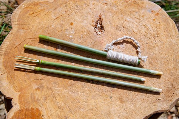 【知らないと損】どこにでもある植物からキャンプギアを作る！