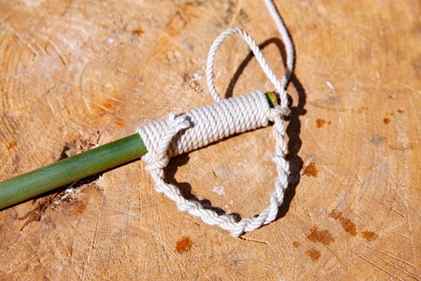 【知らないと損】どこにでもある植物からキャンプギアを作る！