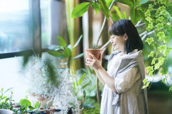 50歳からでも始められる趣味22選