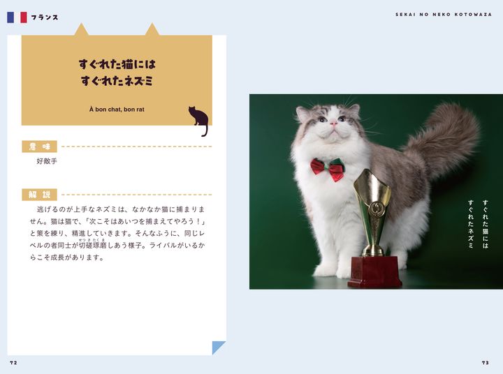 世界中の猫慣用句がこの一冊に、猫写真と読む猫のことわざ